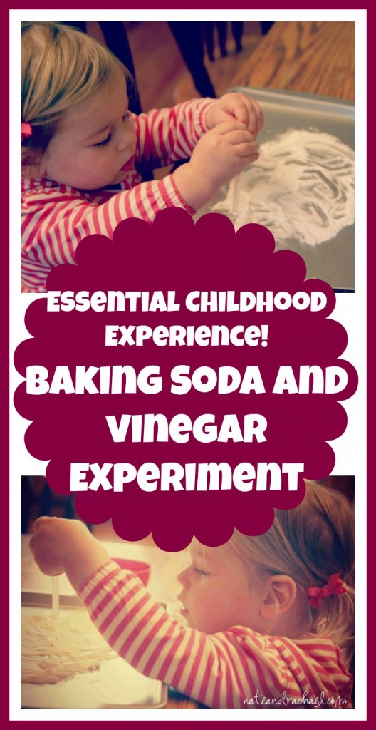 science experiment for toddlers and preschoolers