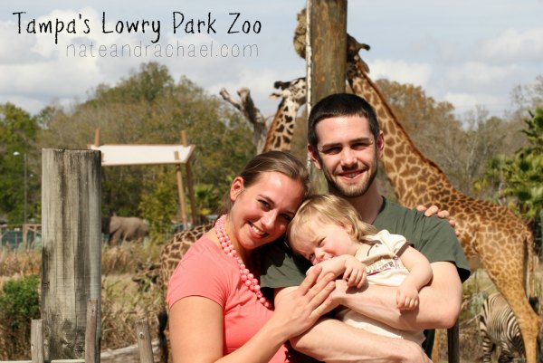 Zoo with kids! Tips to help you survive the day, books to read before you go, play ideas to keep learning fun, and DIY souvenirs so you can skip the gift shop. 