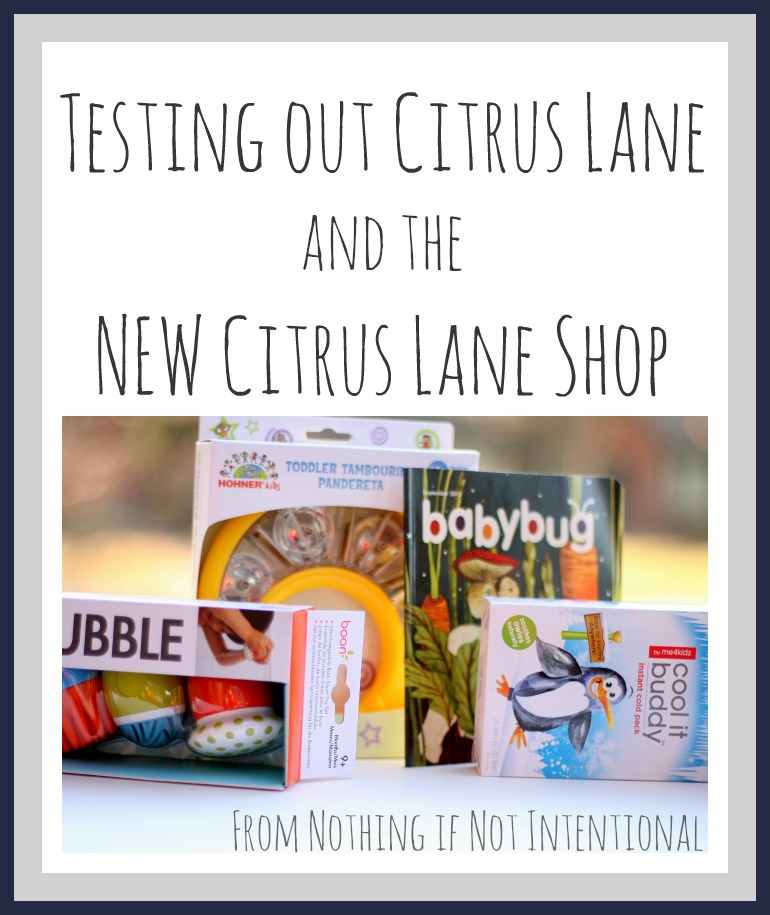 Have you ever tried a subscription box service? Testing out Citrus Lane. (with giveaway) 