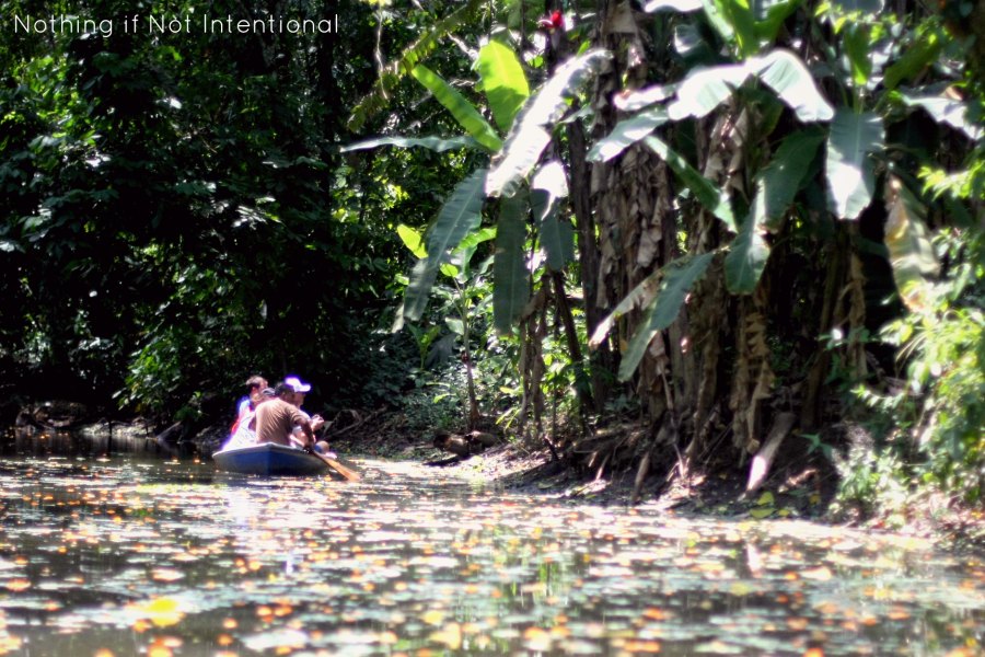 Things to do in Costa Rica with kids --Canoe through the jungle
