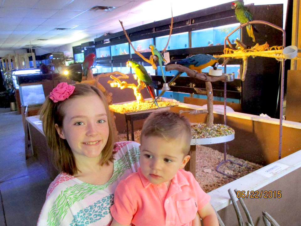Fun places to visit in Terre Haute, Indiana with kids! 