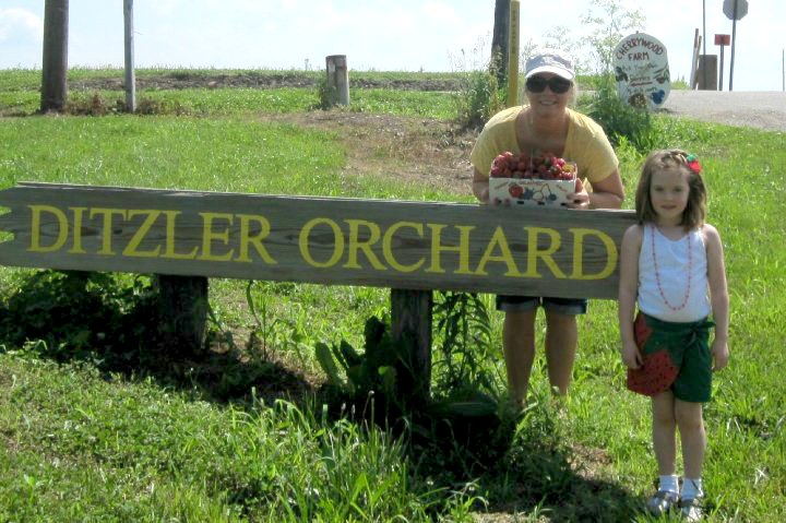 Ditzler Orchard Strawberry Picking