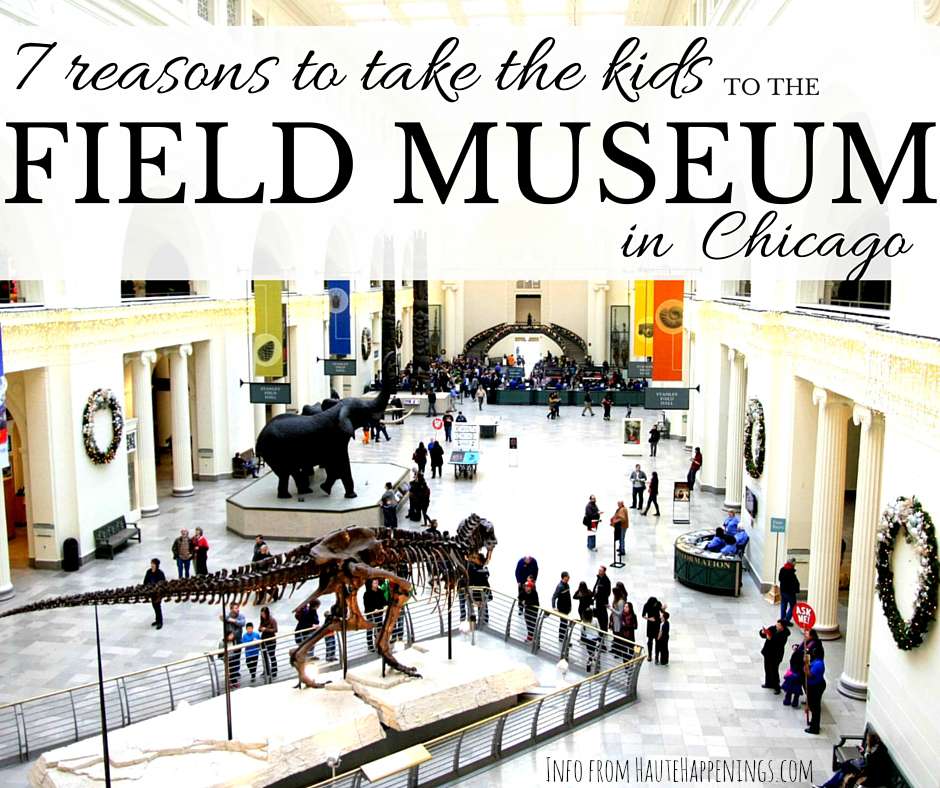 7 reasons to take the kids to the Field Museum in Chicago!
