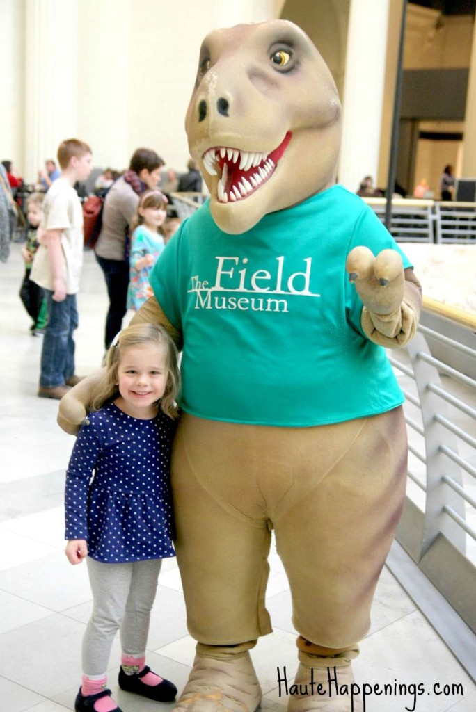 7 reasons to take the kids to visit the Chicago Field Museum! 