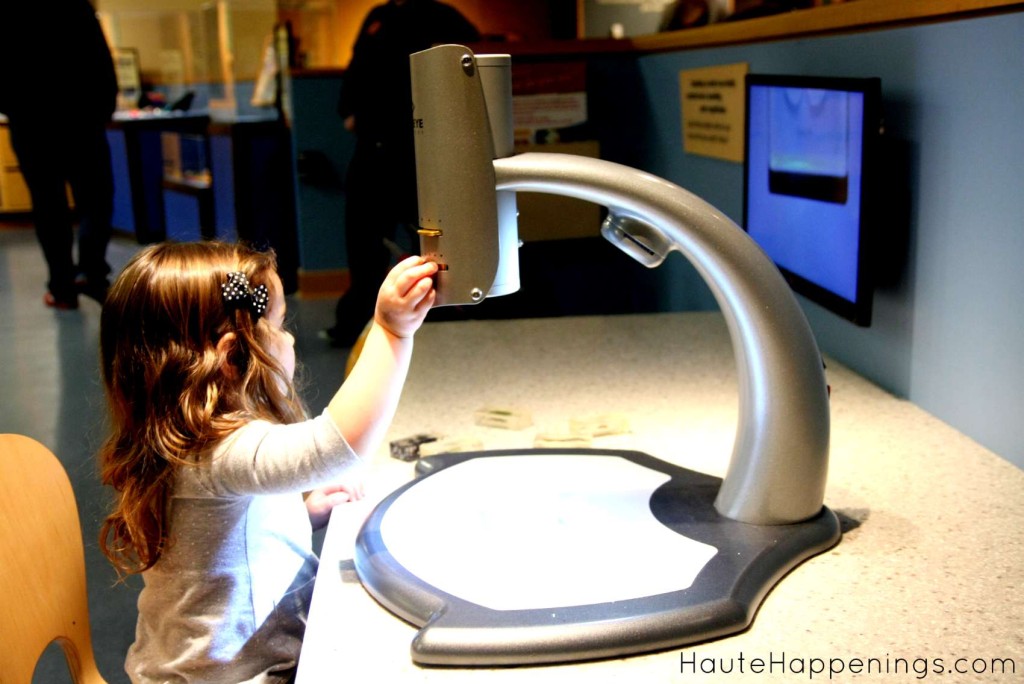 7 Reasons to Take the Kids to Visit the Chicago Field Museum 