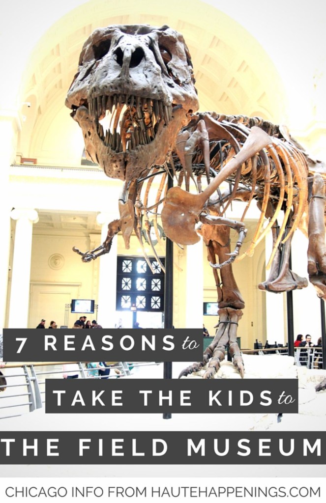 Why you should check out the Field Museum in Chicago (and how to visit for FREE!) 