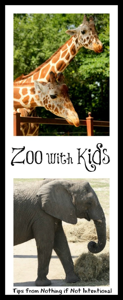 Before going to the zoo with kids, read this! Helpful hints, creative play ideas, books to read, and DIY souvenir ideas. 