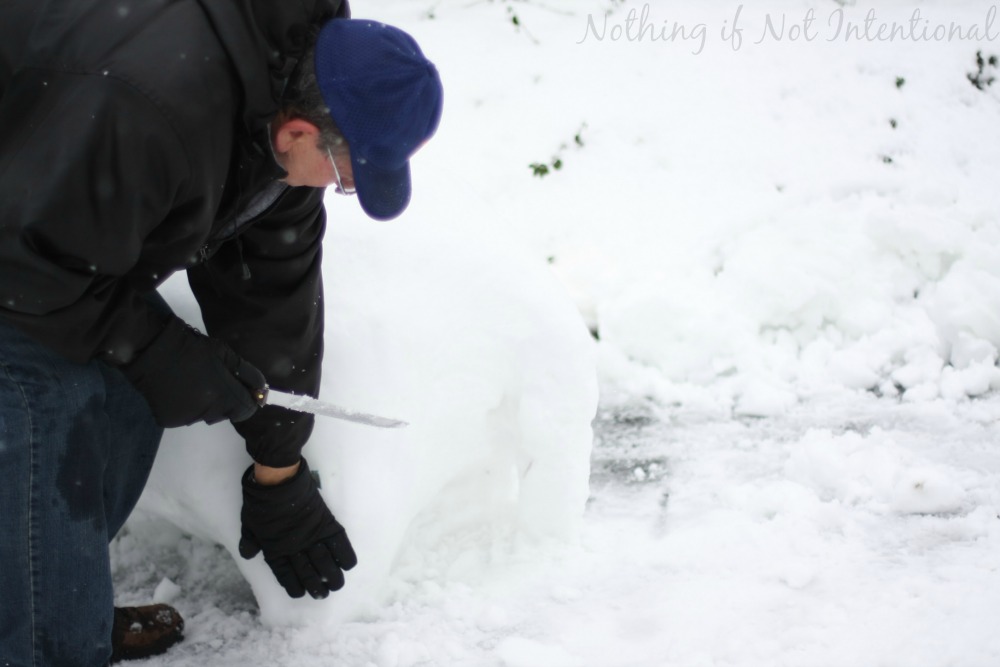 How to make a snow horse! Soooo cool! 